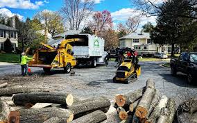 Best Firewood Processing and Delivery  in Lovejoy, GA